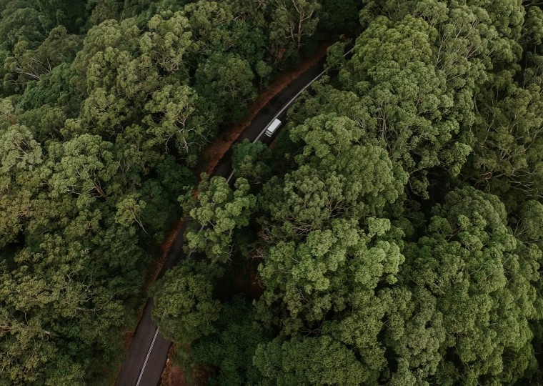 Camión en carretera