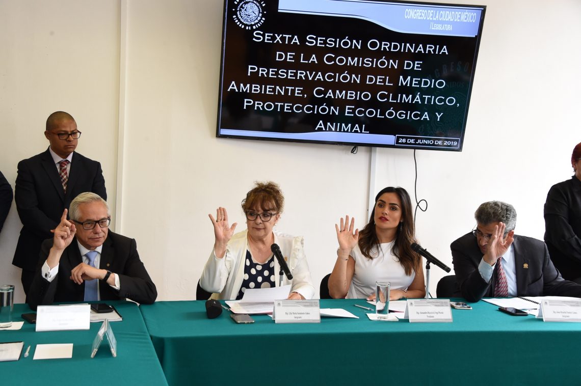 Buscan actualizar Ley de Protección de los Servicios Ambientales 