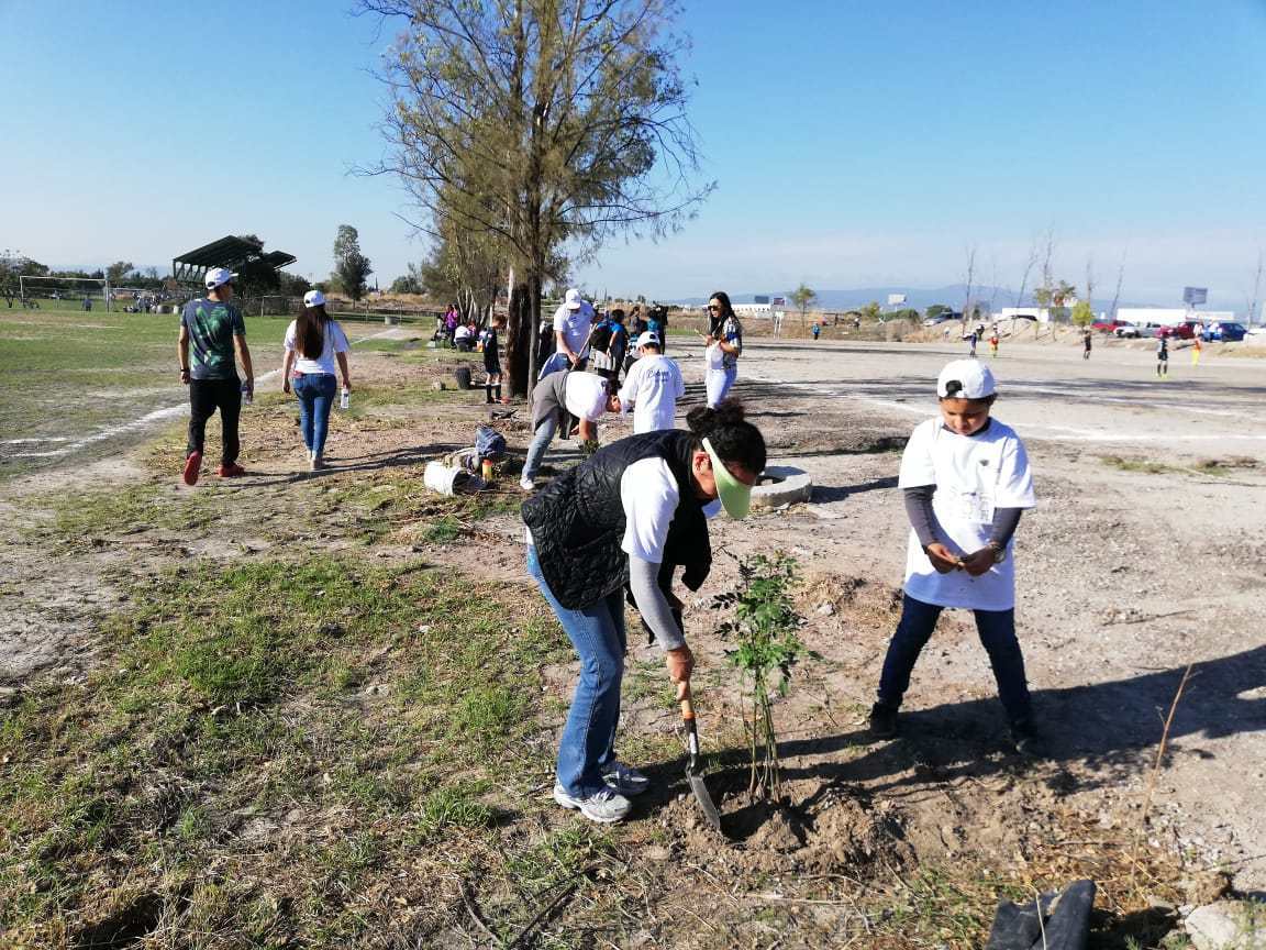 Reforestación en Guanajuato