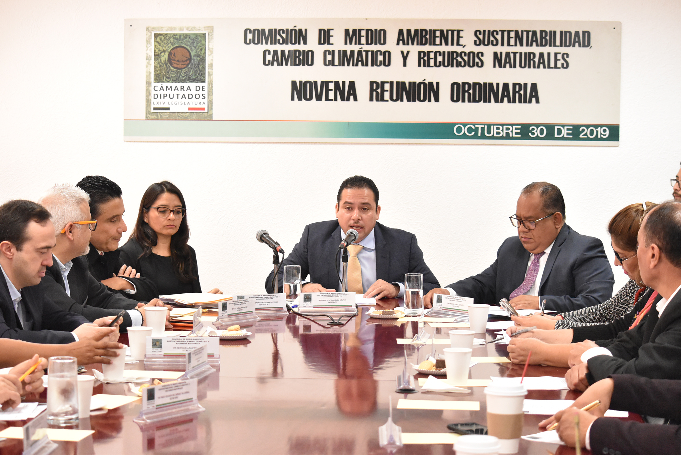 Diputados MX