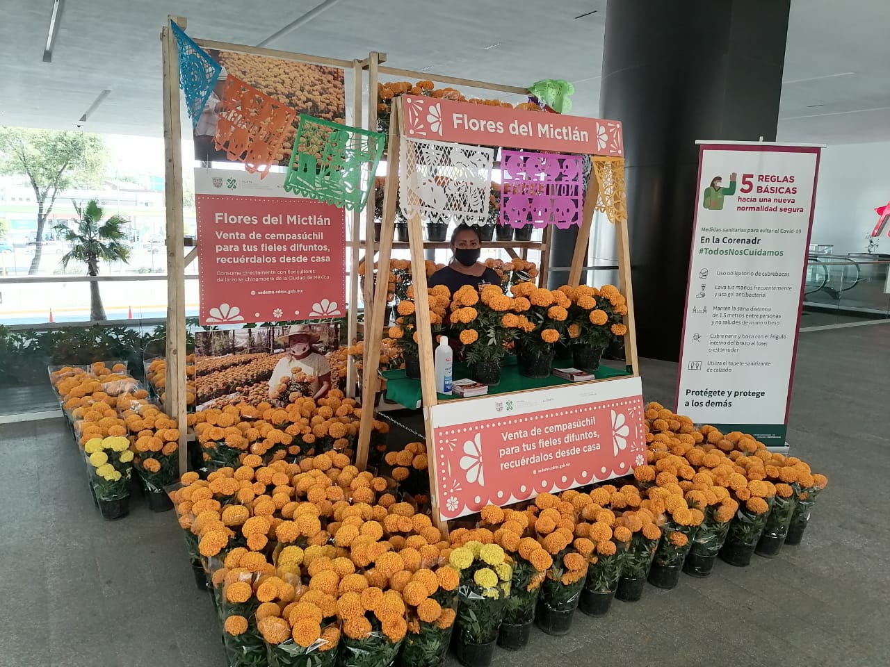 Arranca venta de flor de cempasúchil en centros comerciales de la CdMx