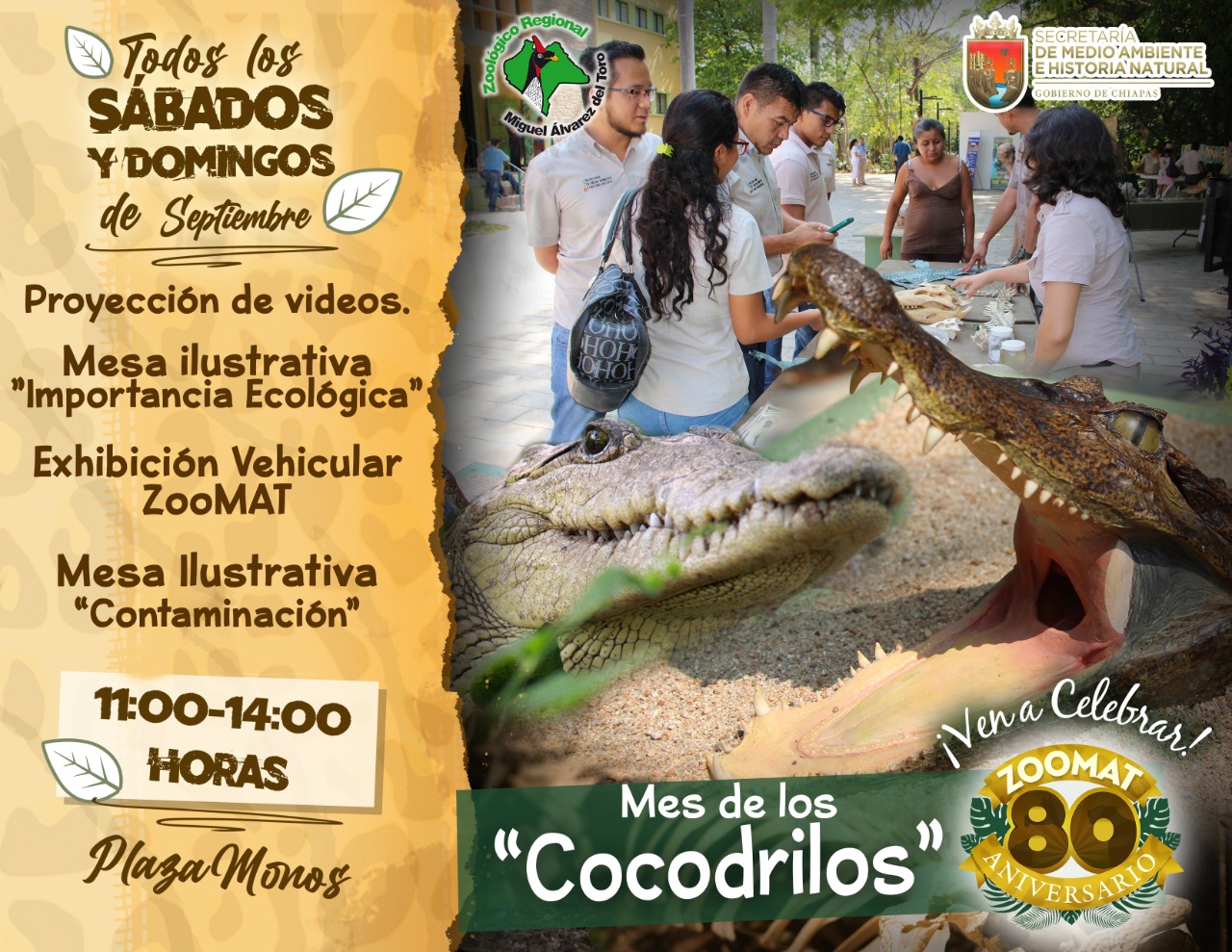 ZooMAT de Chiapas dedica el mes de septiembre a los cocodrilos