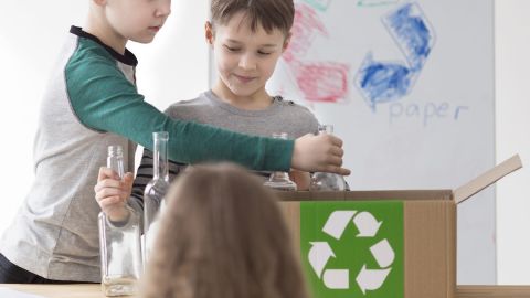 Educación ambiental OFEC