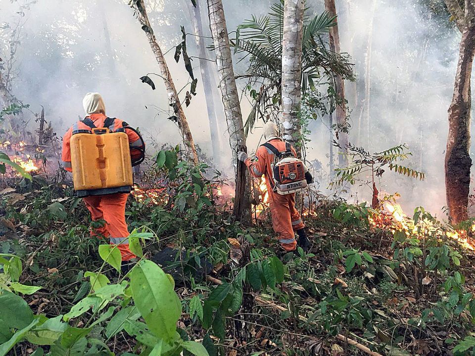 Combatientes del fuego en Amazonia