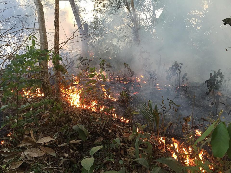 Incendio Amazonia