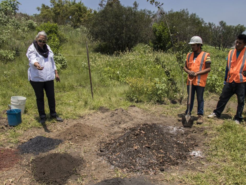 Restauración ecológica