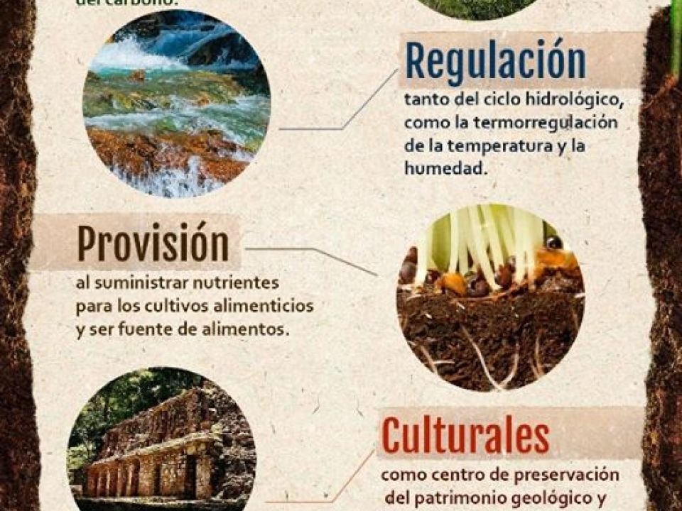 Infografía sobre suelo