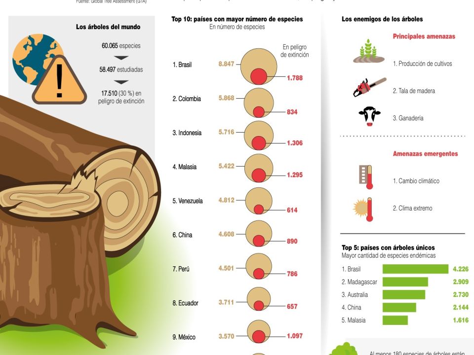 Infografía árboles