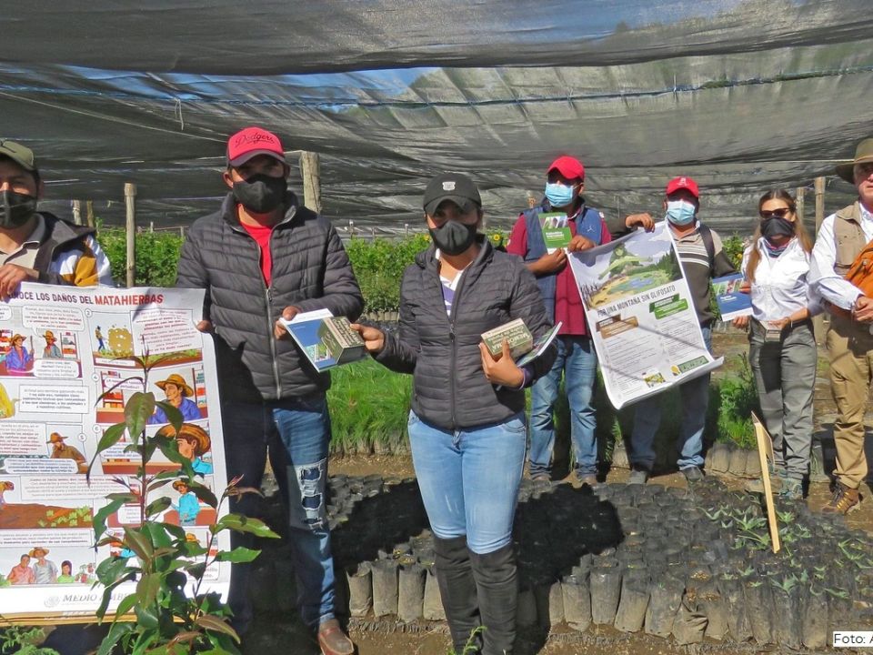 parcelas agroecológicas 