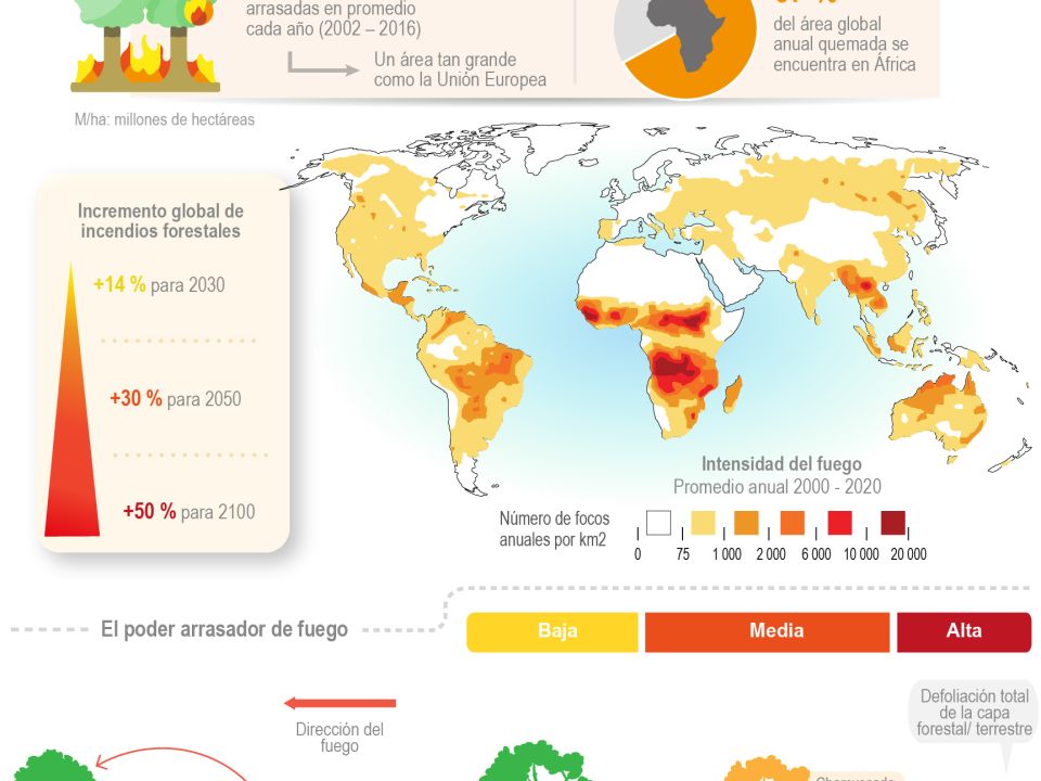 Infografía Incendios