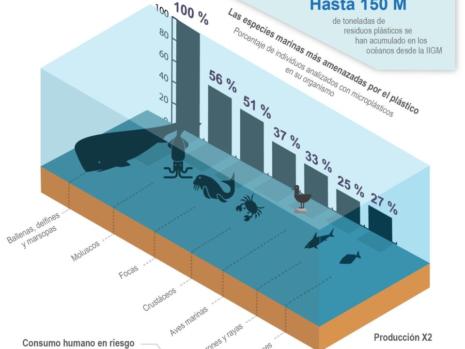 Infografía plásticos en el mar 