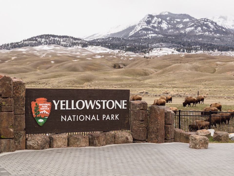 Yellowstone