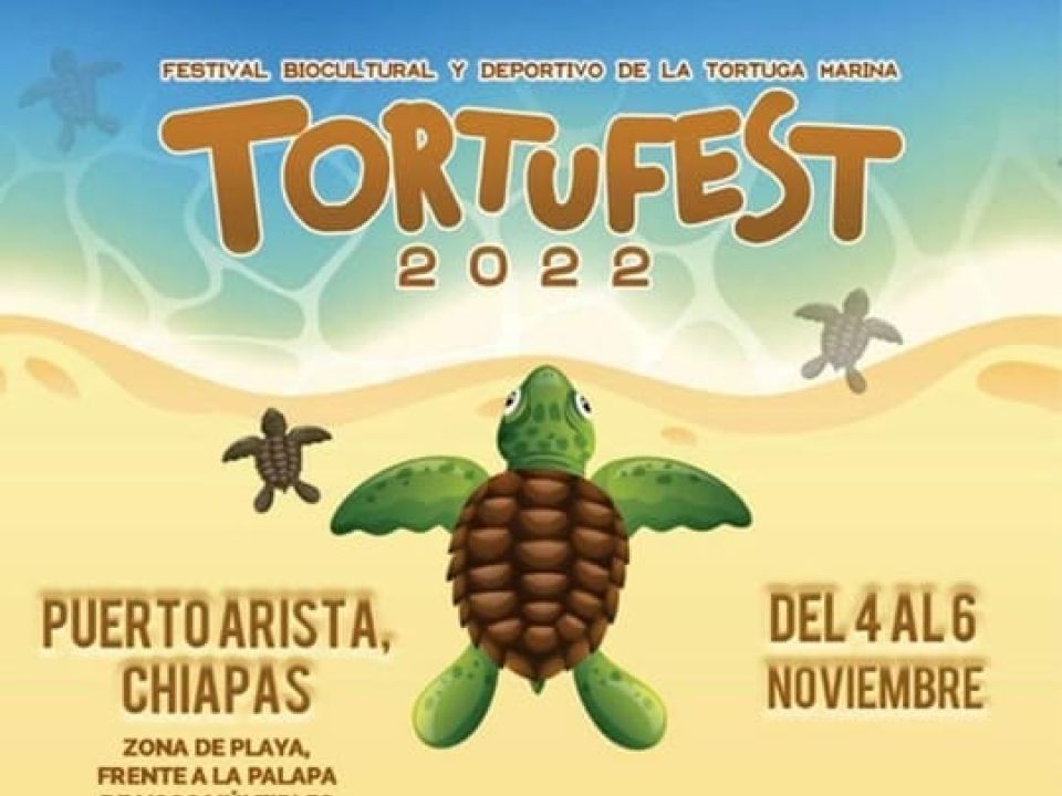 Tortufest