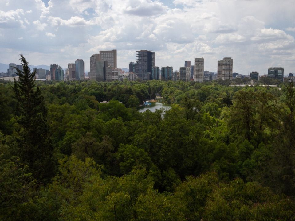 Bosque de Chapultepec