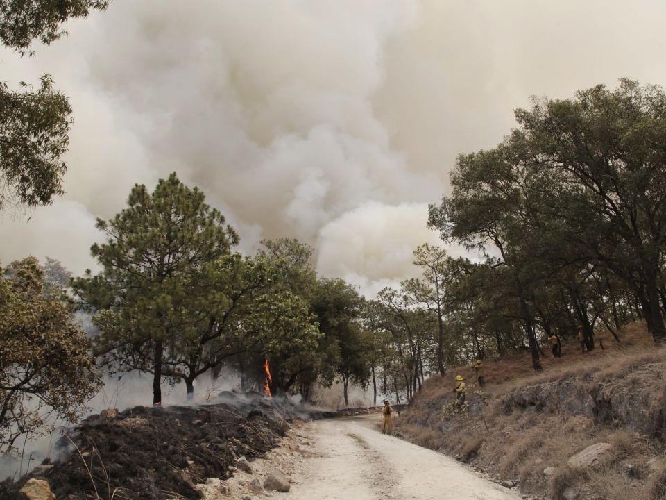 Incendios forestales en Jalisco