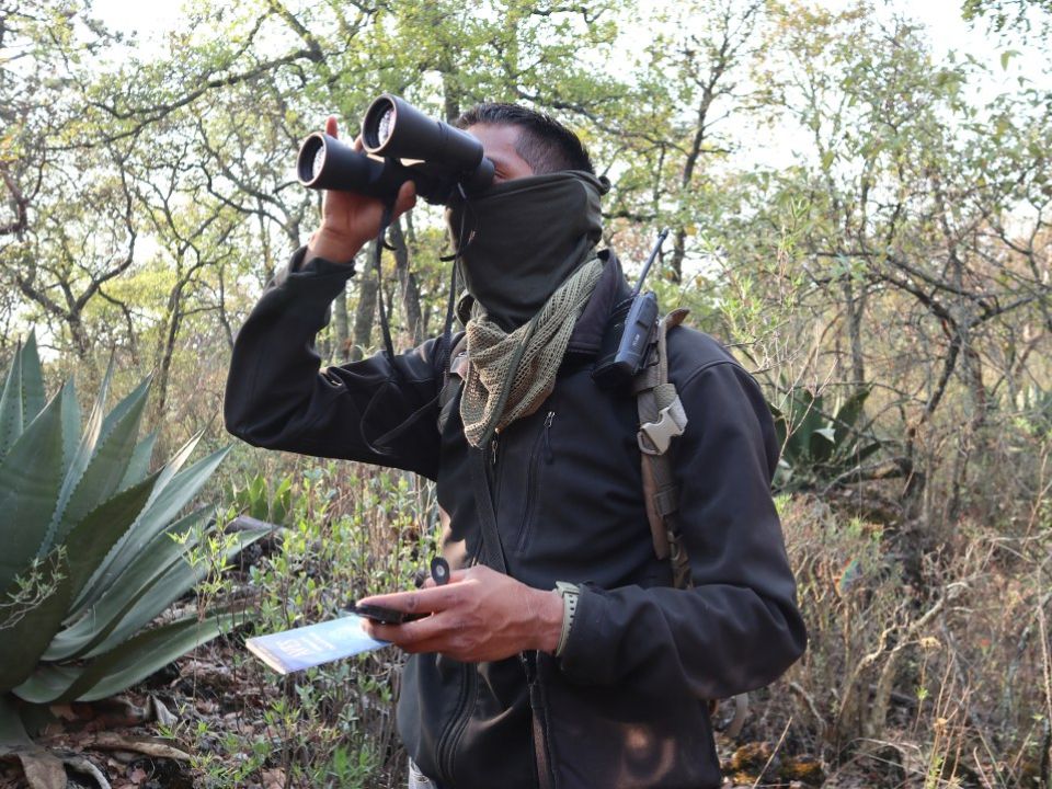 Monitoreo de biodiversidad 