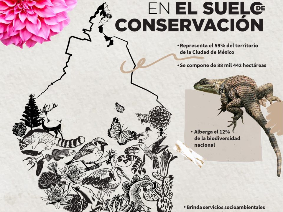 Suelo de Conservación