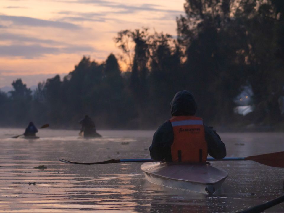 Kayak