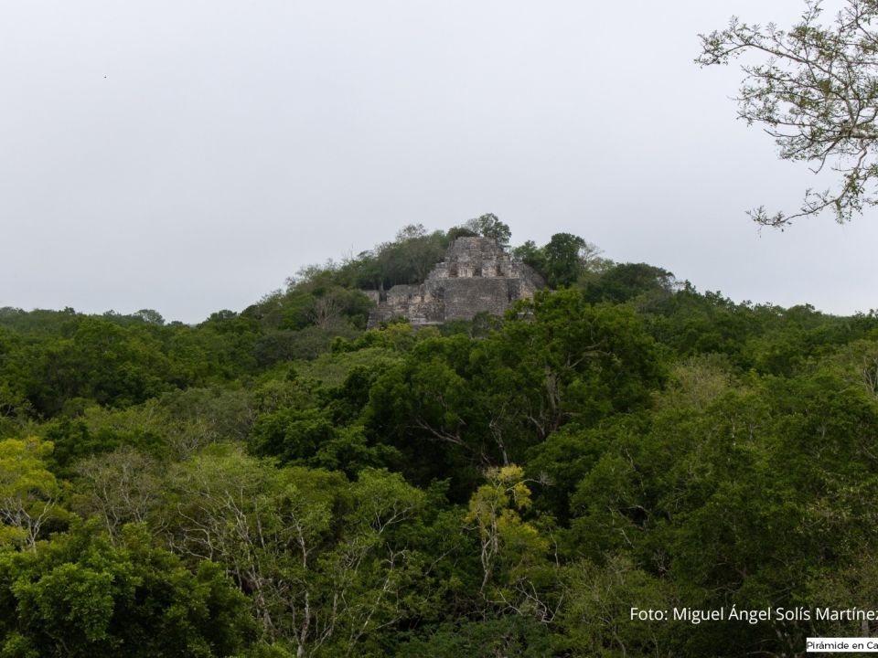 Calakmul