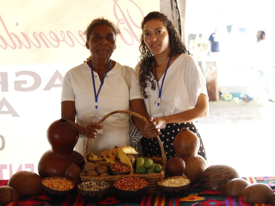 Afromexicanas