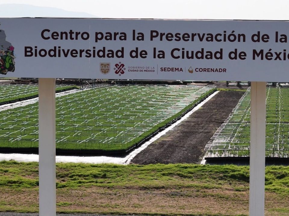 Centro para la Preservación de la Biodiversidad de la Ciudad de México. 