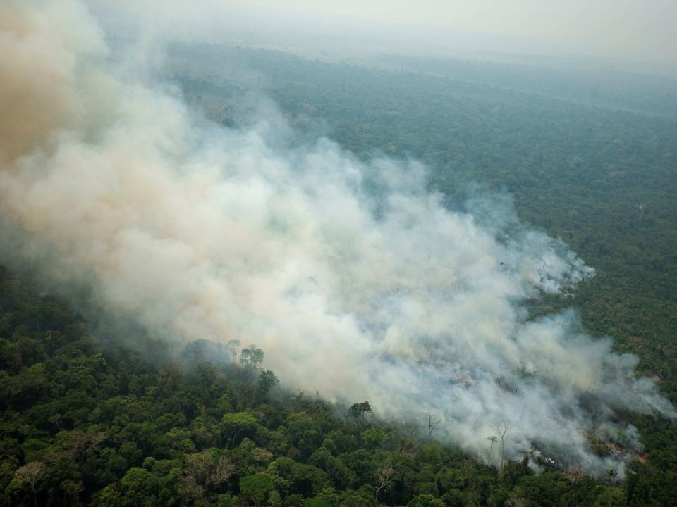 Incendio forestal