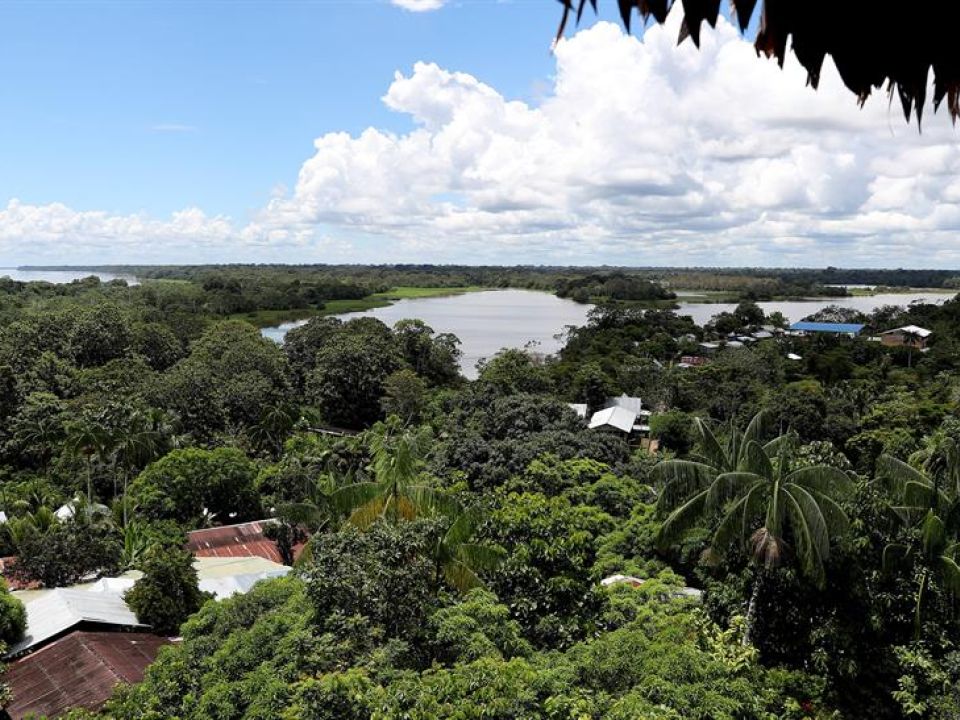 Reserva en la Amazonia