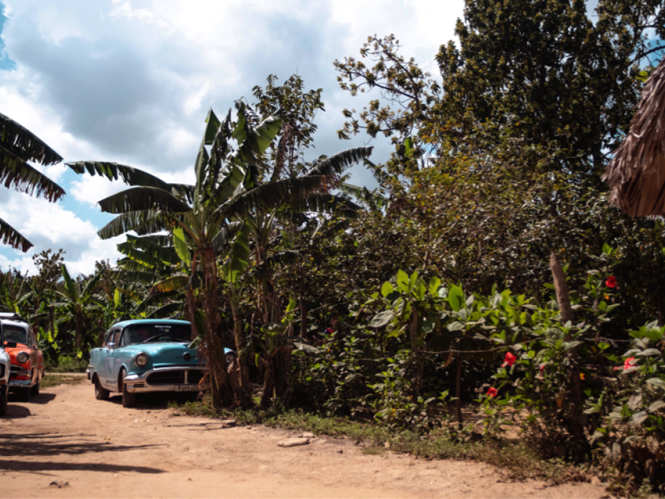 Auto en cuba