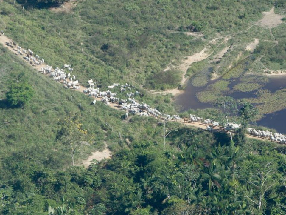 São Félix do Xingu 