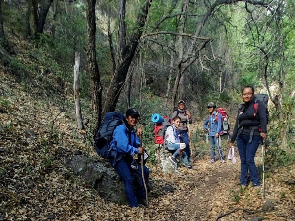 Mujeres brigadistas