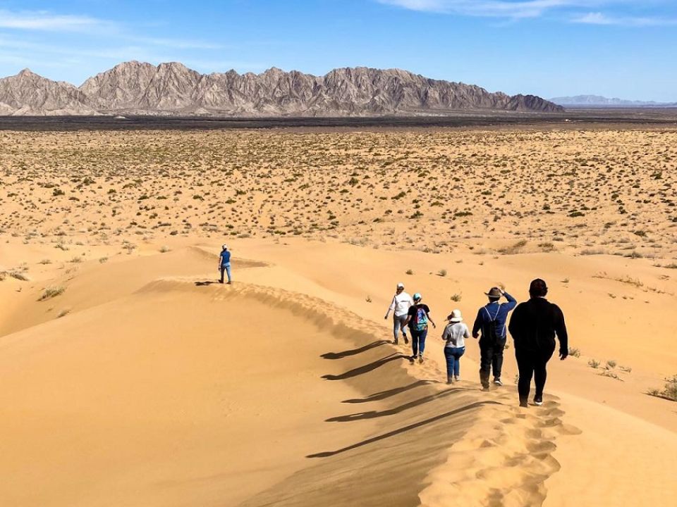 Reserva de la Biósfera El Pinacate y Gran Desierto de Altar