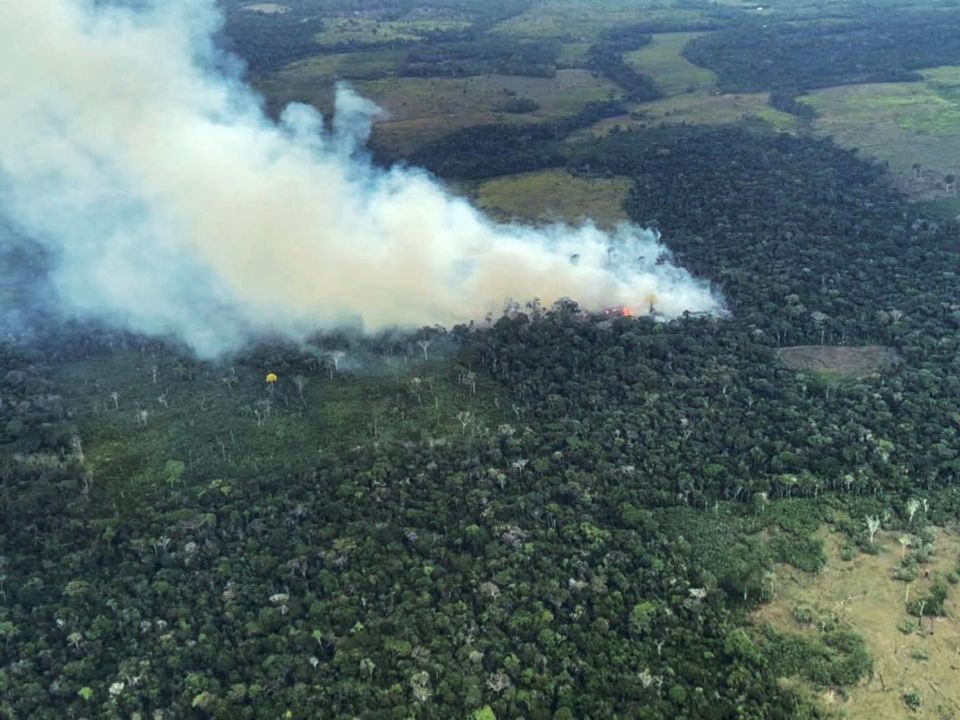 Incendio en la Amazonía colombiana