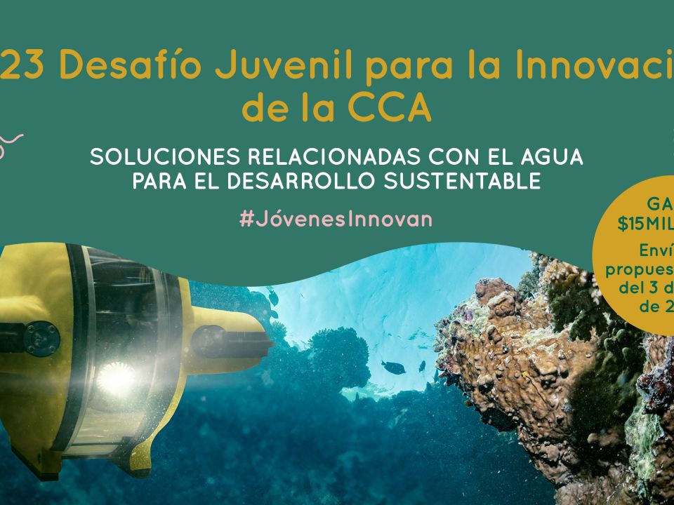 Desafío Juvenil para la Innovación 2023 