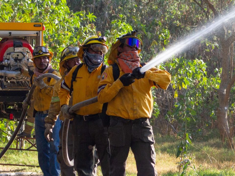 Combatientes forestales