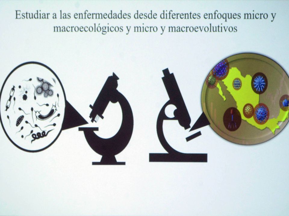 Enfermedades infecciosas