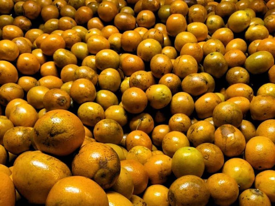 Naranjas