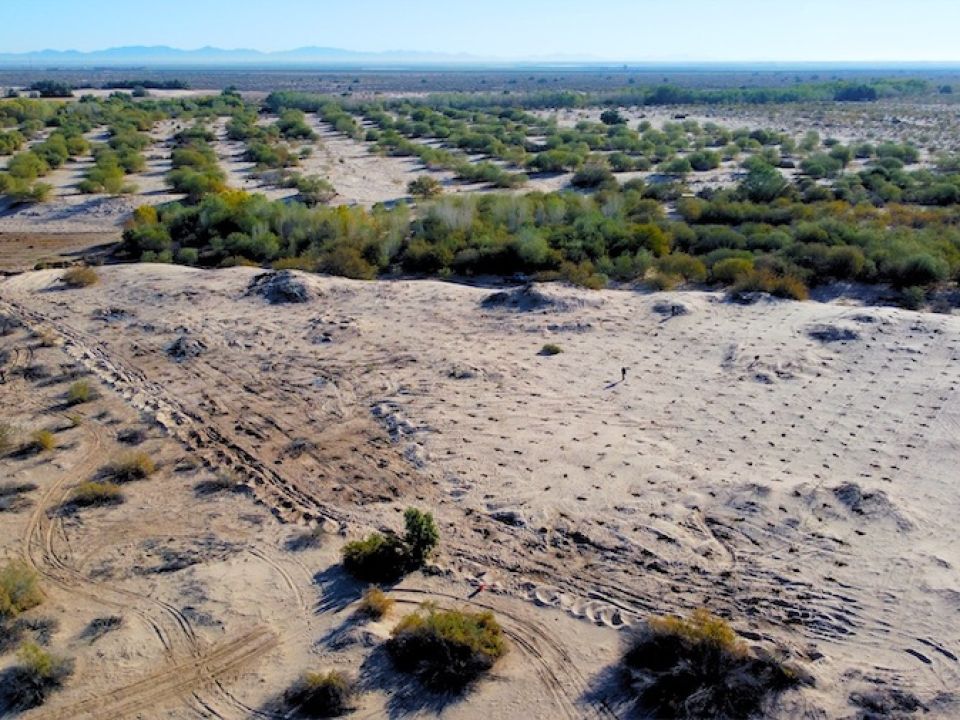 Río Colorado