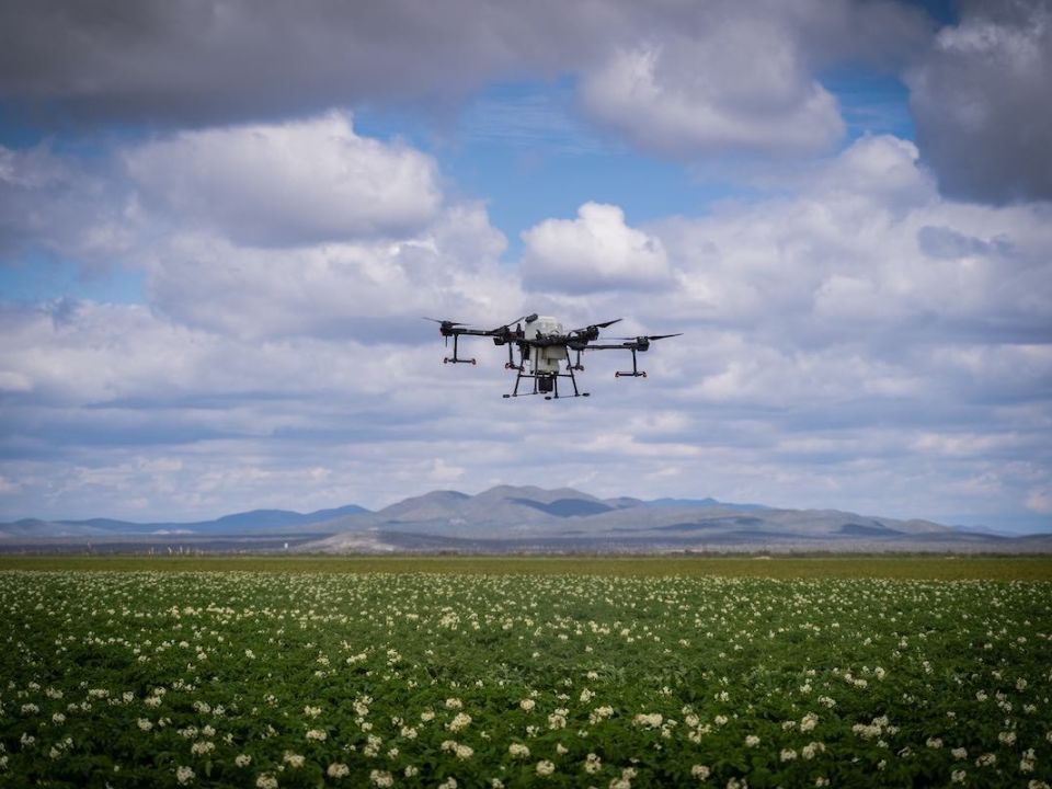  Digitalización del campo mexicano Pepsico