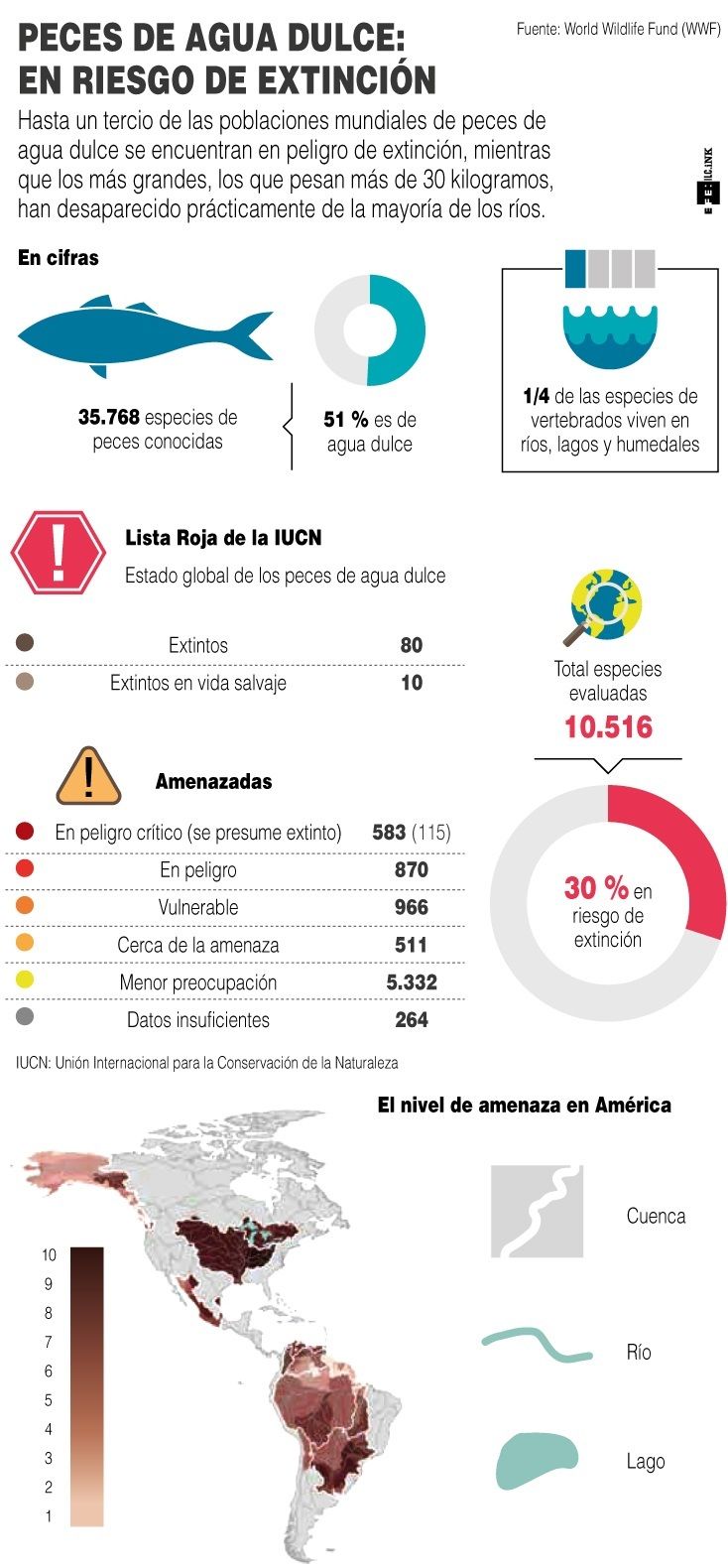 Infografía de peces