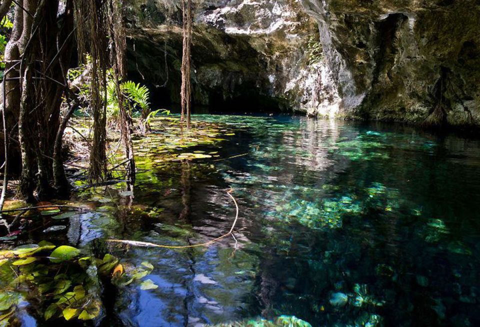 Cenote