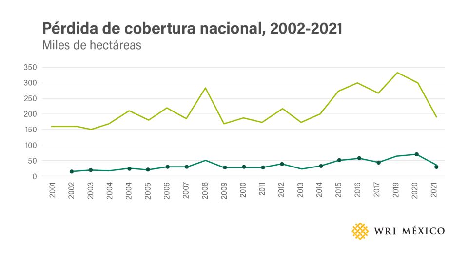 Pérdida de bosques en México