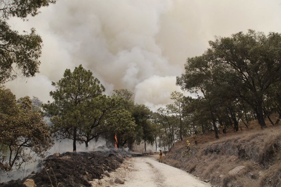 Incendios forestales en Jalisco