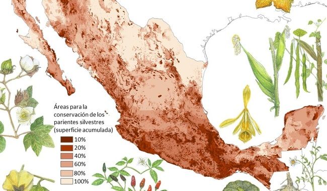 Cultivos en México