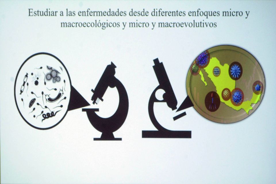 Enfermedades infecciosas